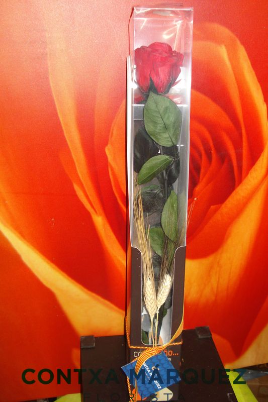 Rosa eterna roja en caja larga - Floristeria Contxa Márquez